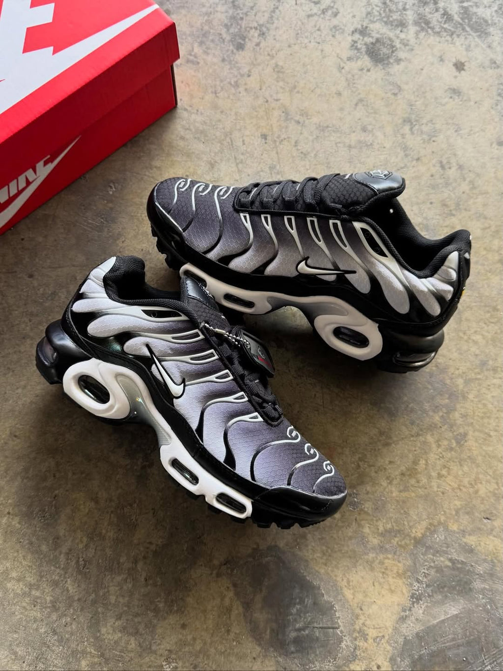 Nike Air Max Plus “Degrade Grey”