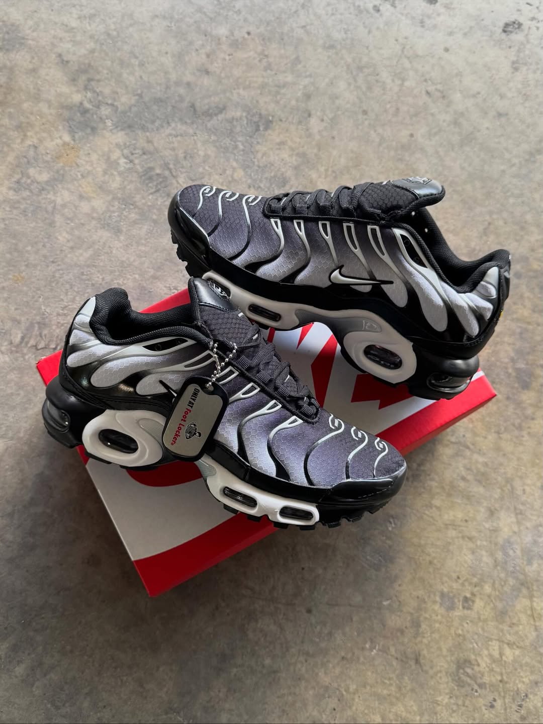 Nike Air Max Plus “Degrade Grey”